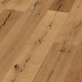 Oak No 35 - Arundel